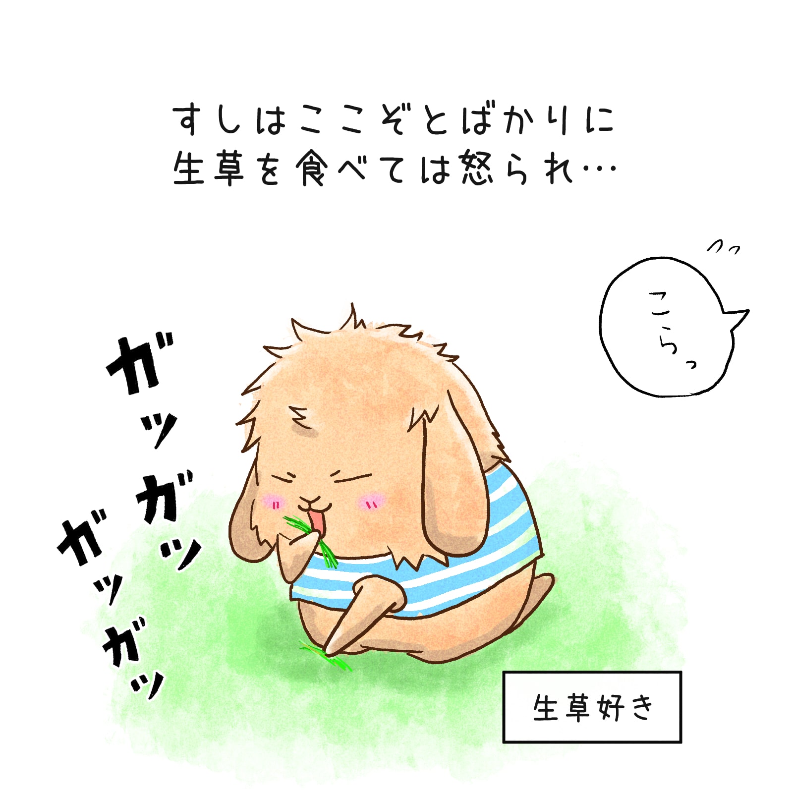 うさぎの漫画04