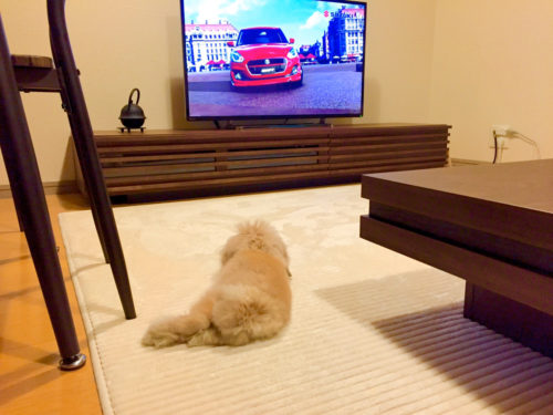 うさぎ
