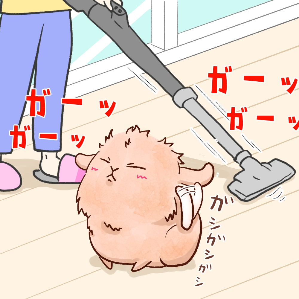うさぎ漫画 無料