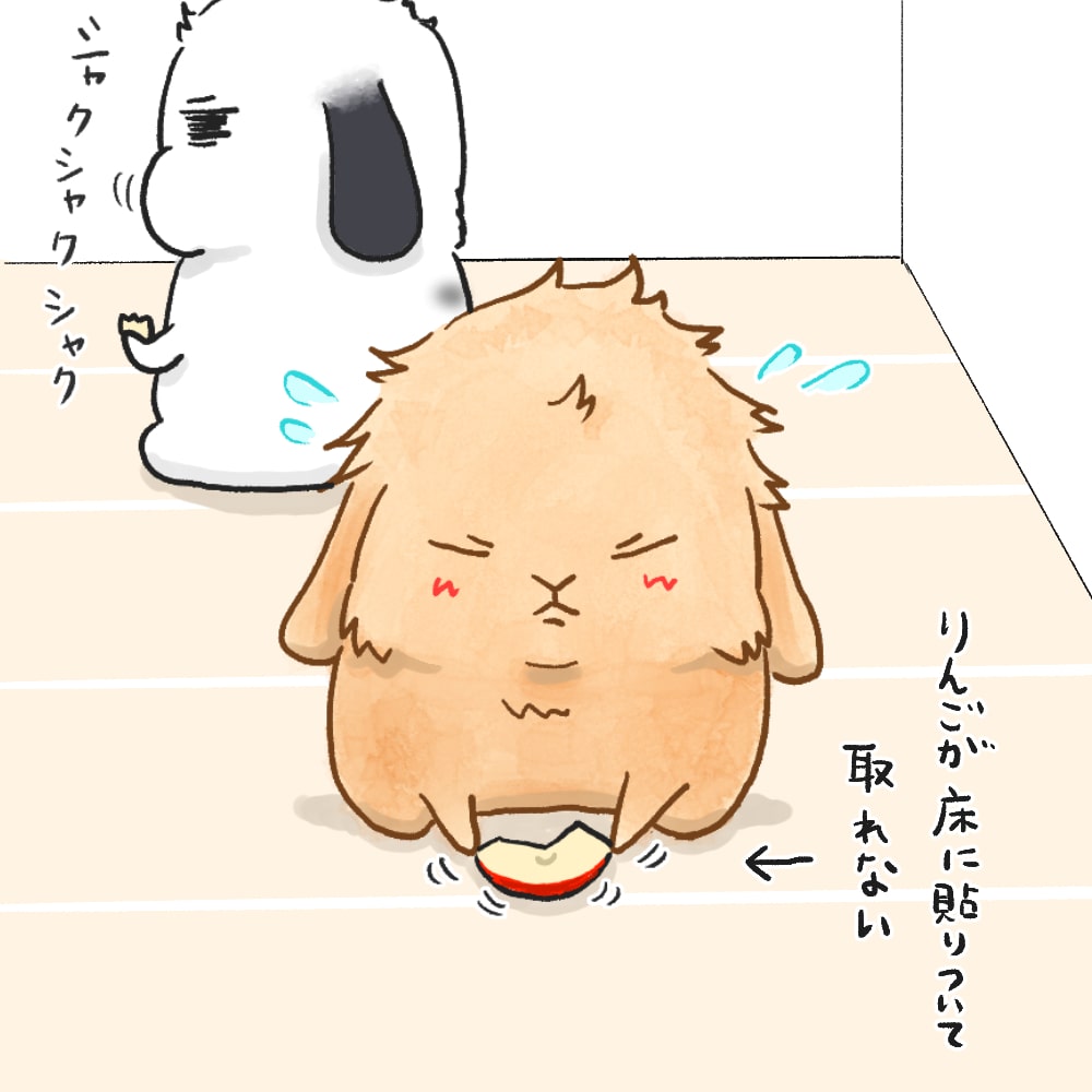 うさぎ漫画 無料