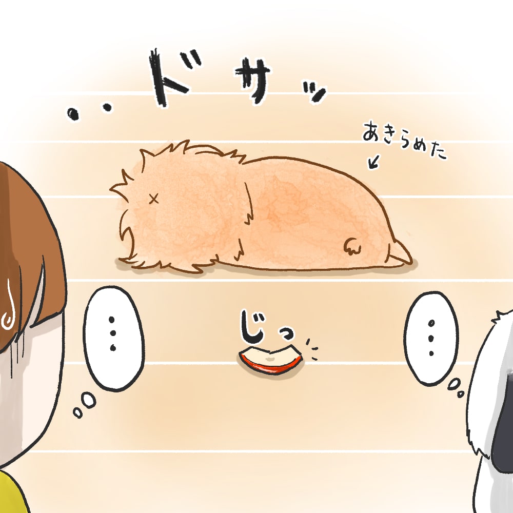 うさぎ漫画 無料