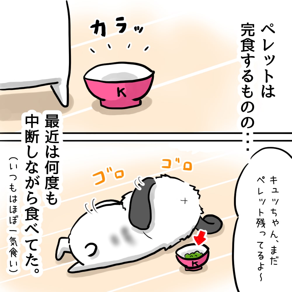 うさぎ漫画