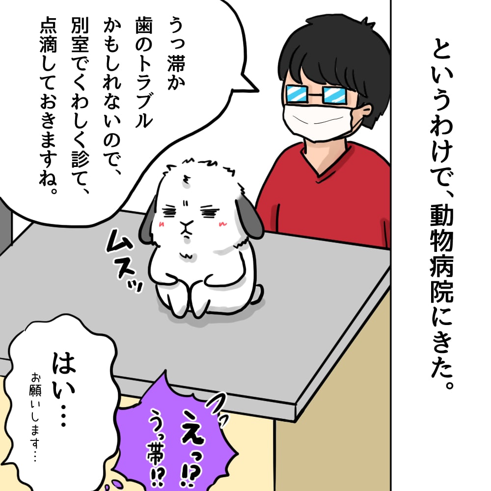 毛球症