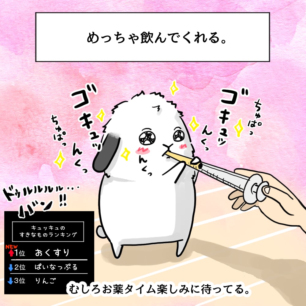 うさぎ漫画