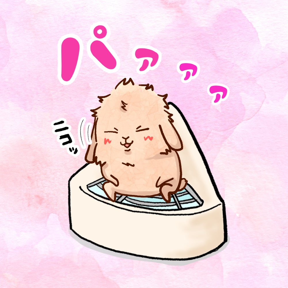 うさぎ漫画 無料