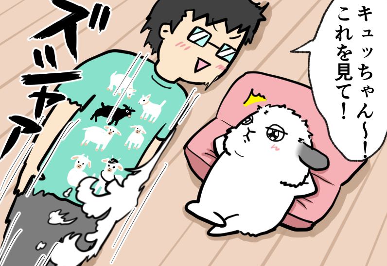 うさぎの写真