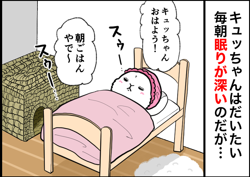 うさぎの写真