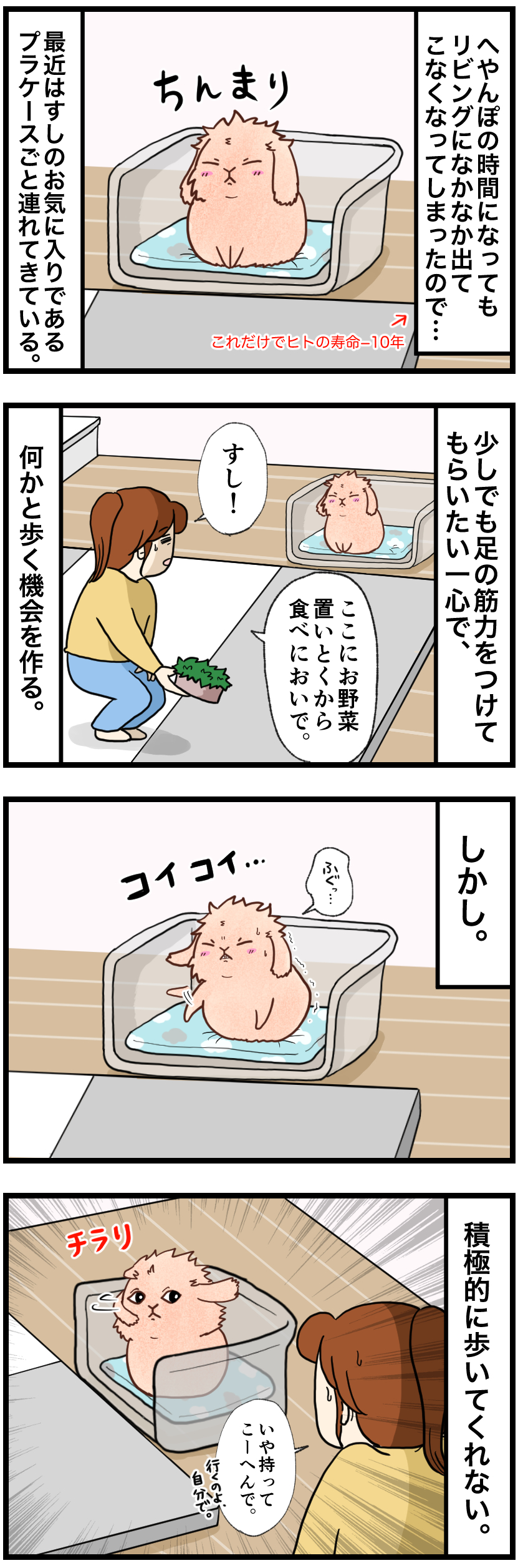 ウサギの漫画