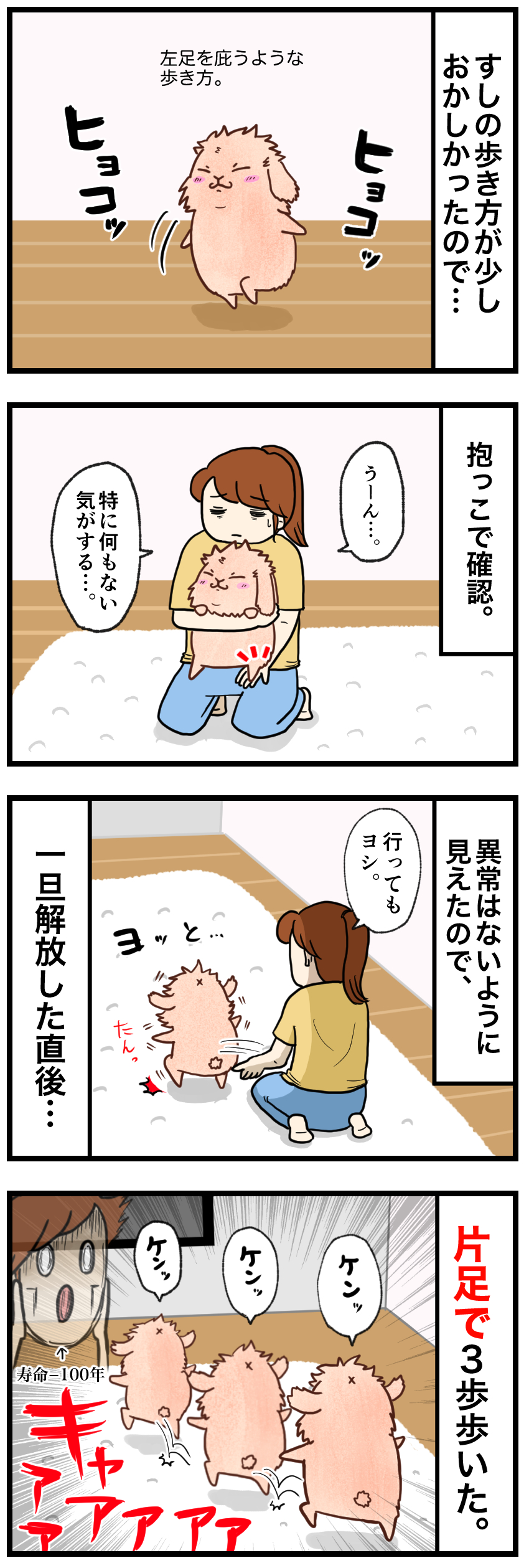ウサギの漫画