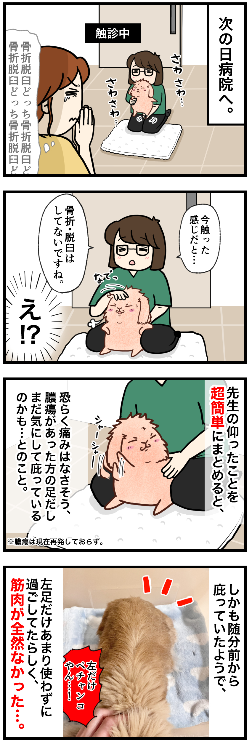 ウサギの漫画