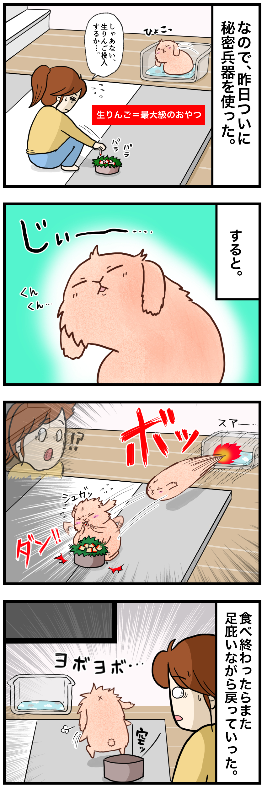 ウサギの漫画