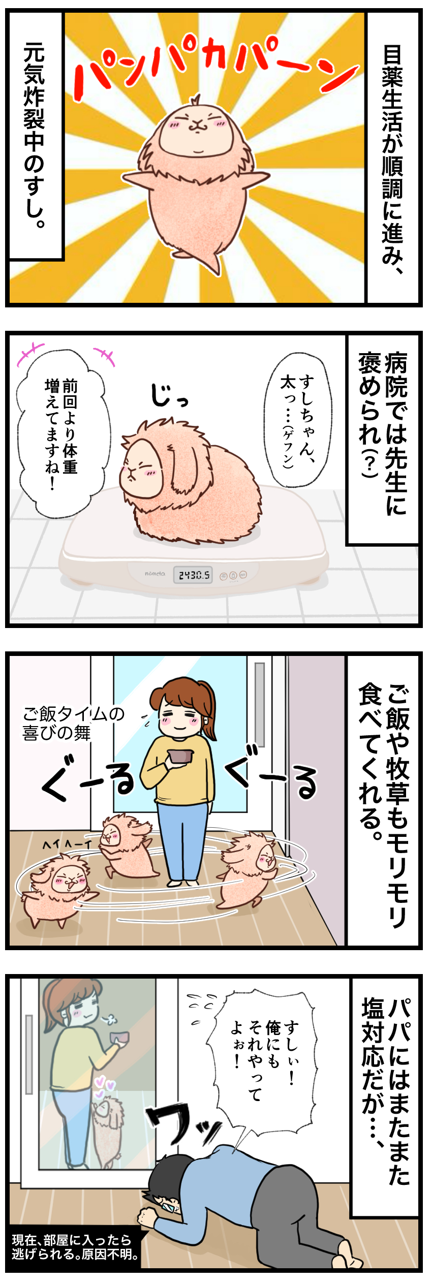 ウサギの漫画
