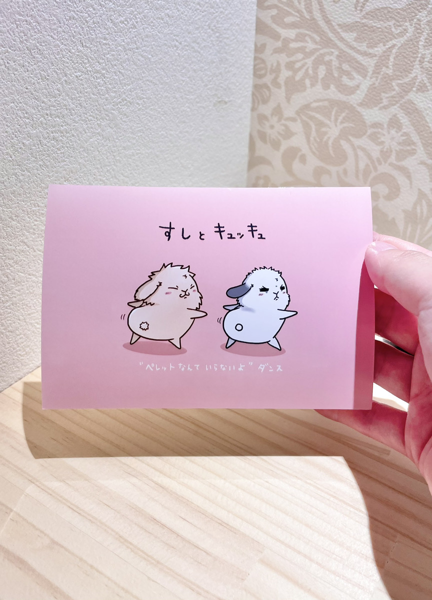 うさぎの写真