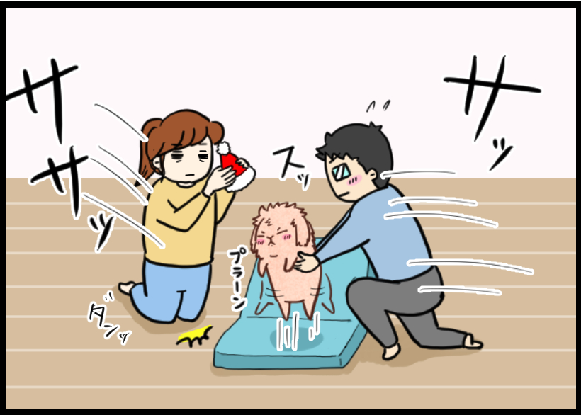 うさぎの写真