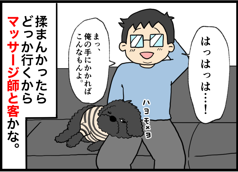 うさぎの写真