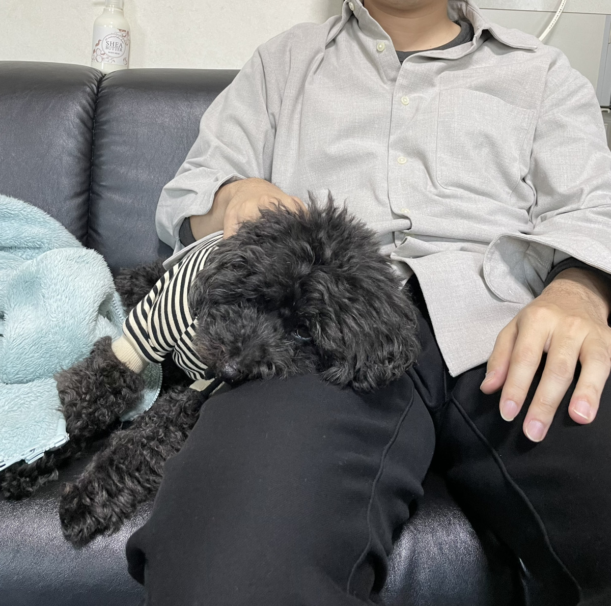 うさぎの写真
