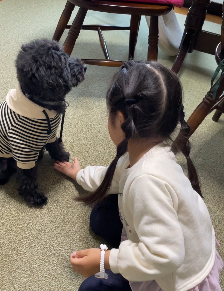 うさぎの写真