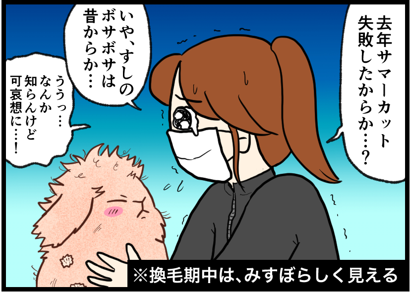 うさぎの写真