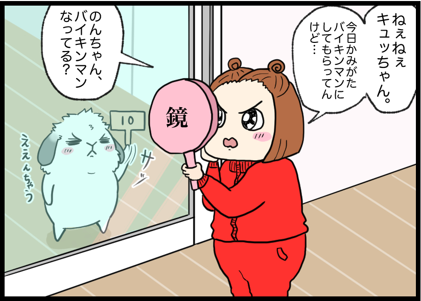うさぎの写真