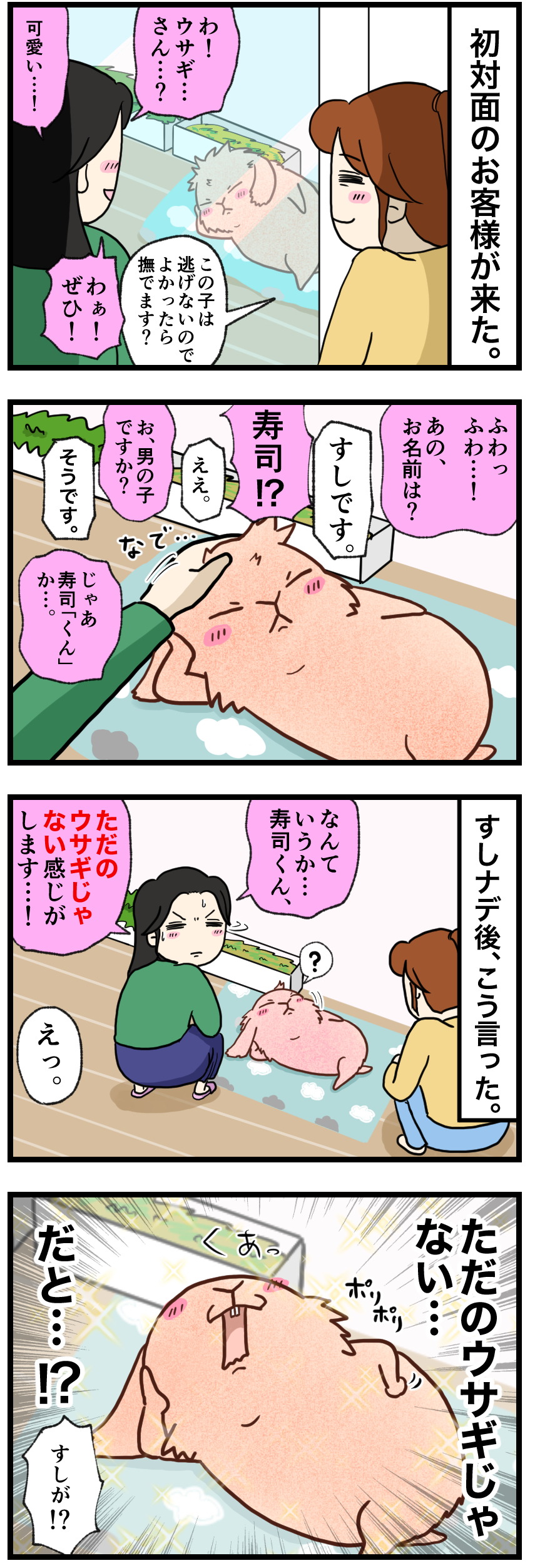 ウサギの漫画