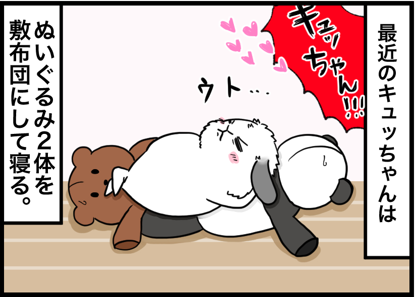 うさぎの写真