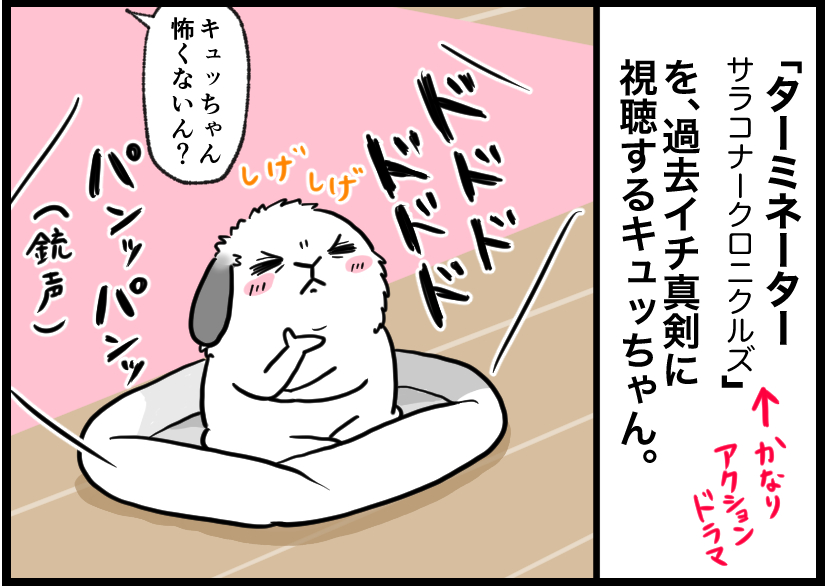 うさぎの写真