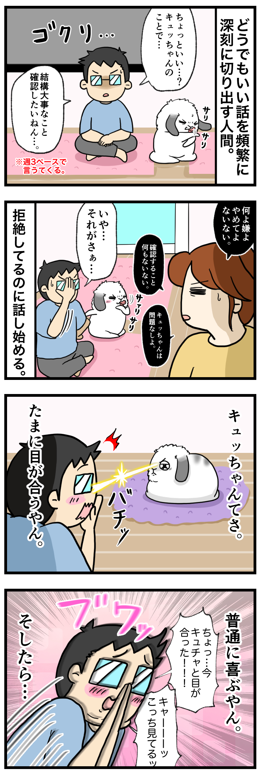 ウサギの漫画