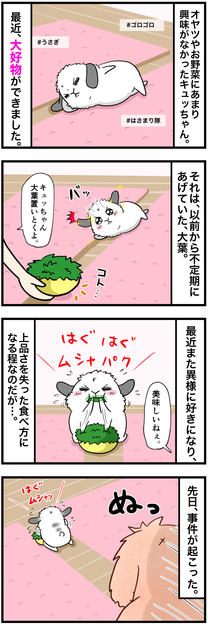 ウサギの漫画