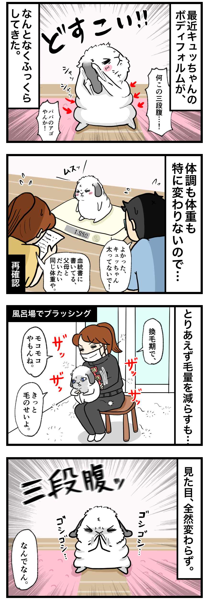 ウサギの漫画