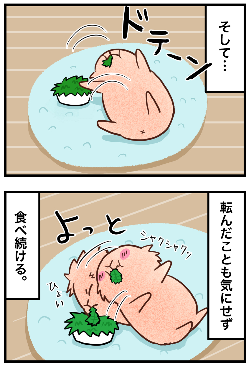 ウサギの漫画
