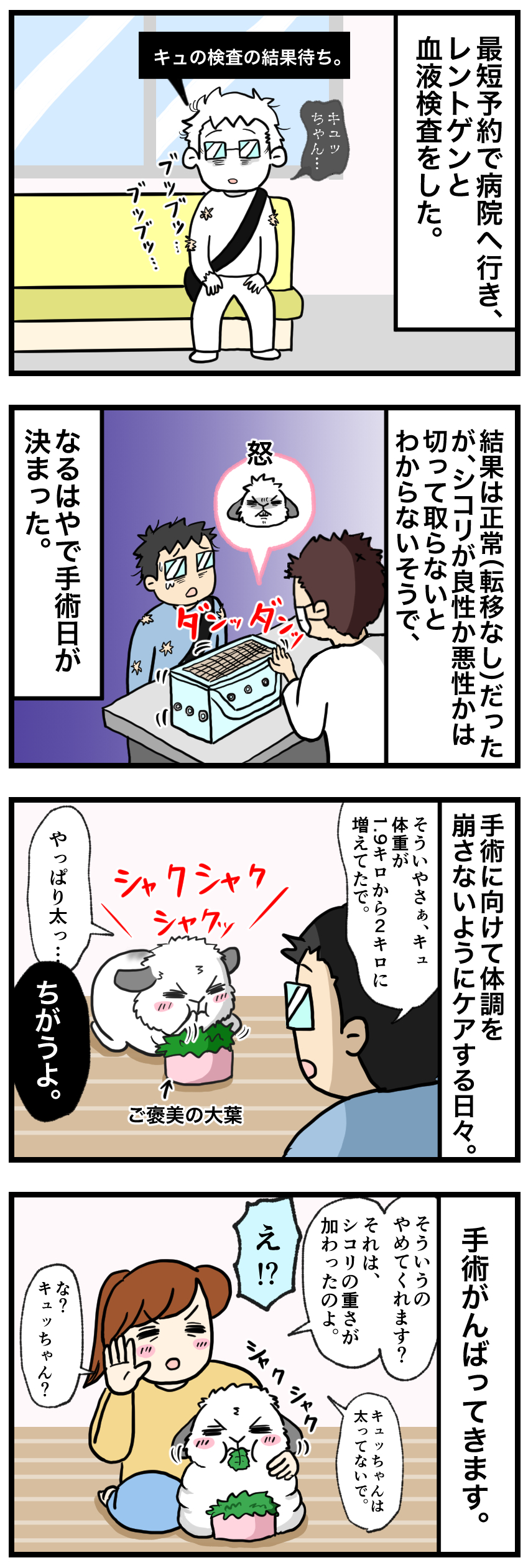 ウサギの漫画