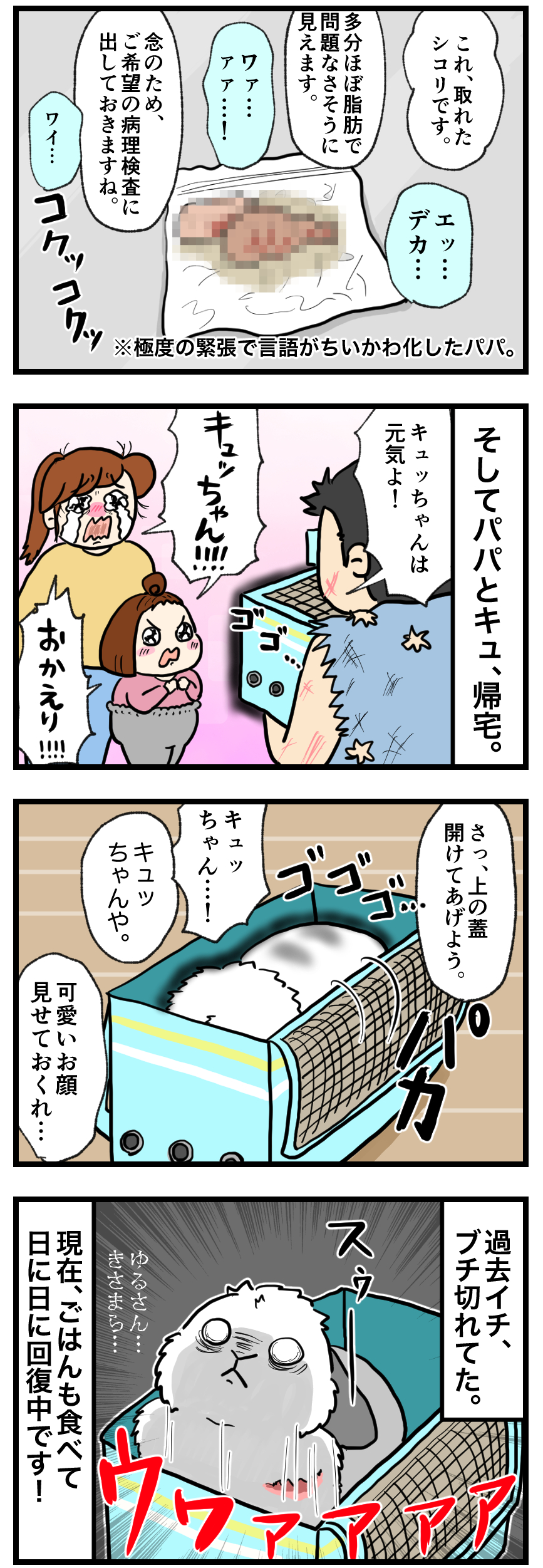 ウサギの漫画