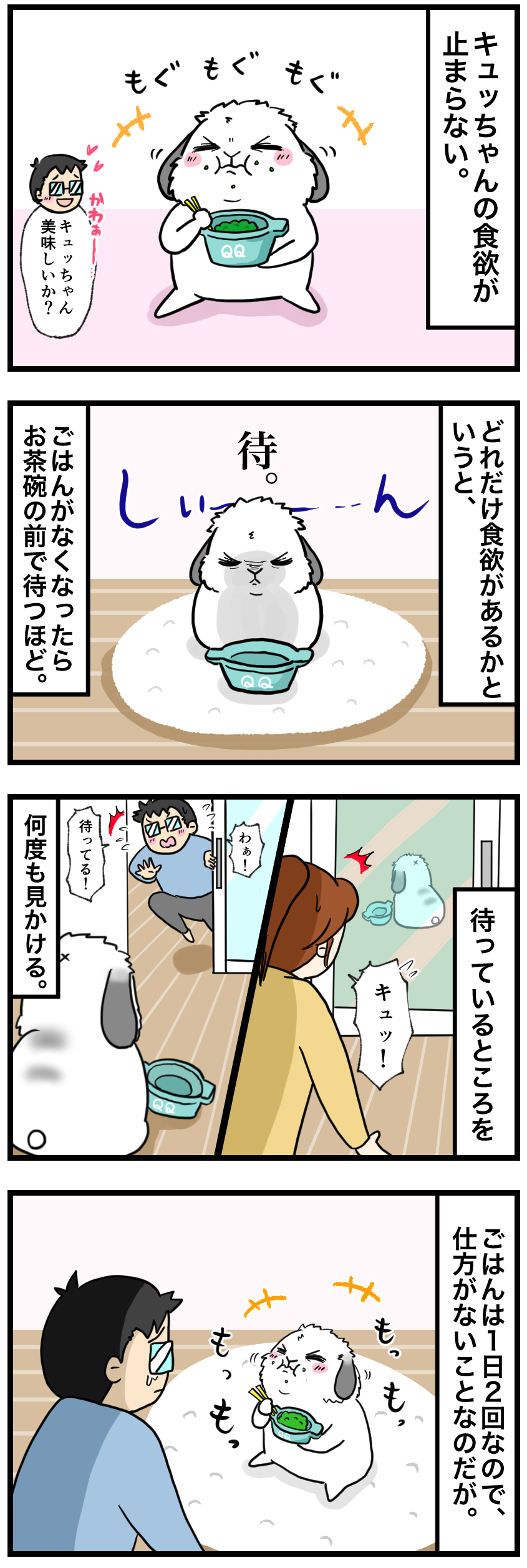 ウサギの漫画
