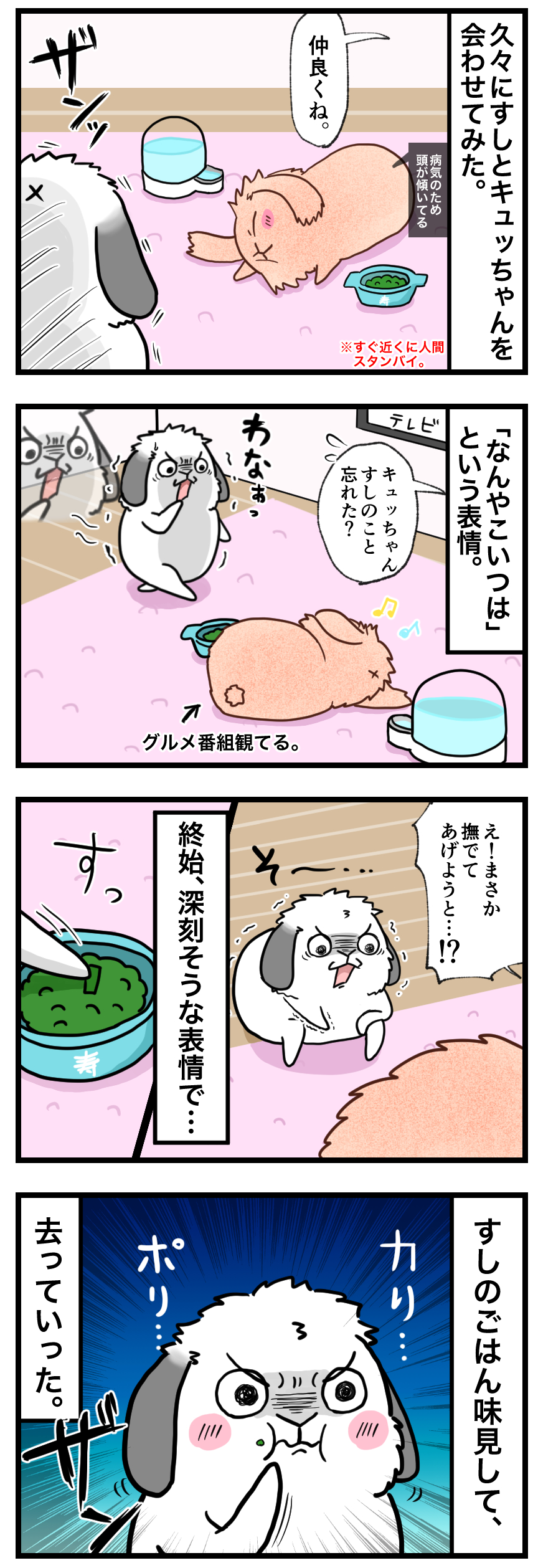 ウサギの漫画