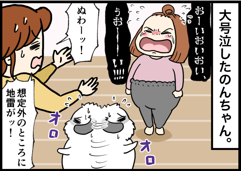 うさぎの写真