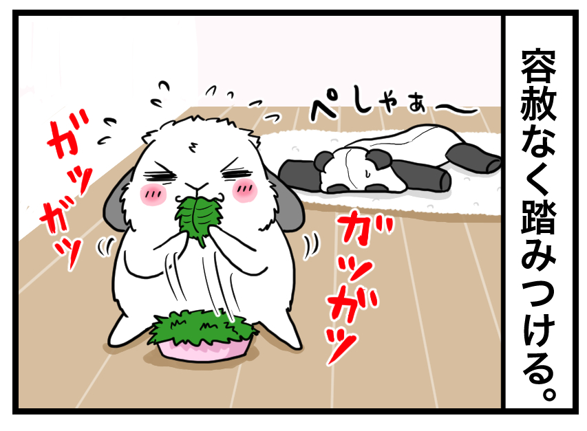 ウサギの漫画